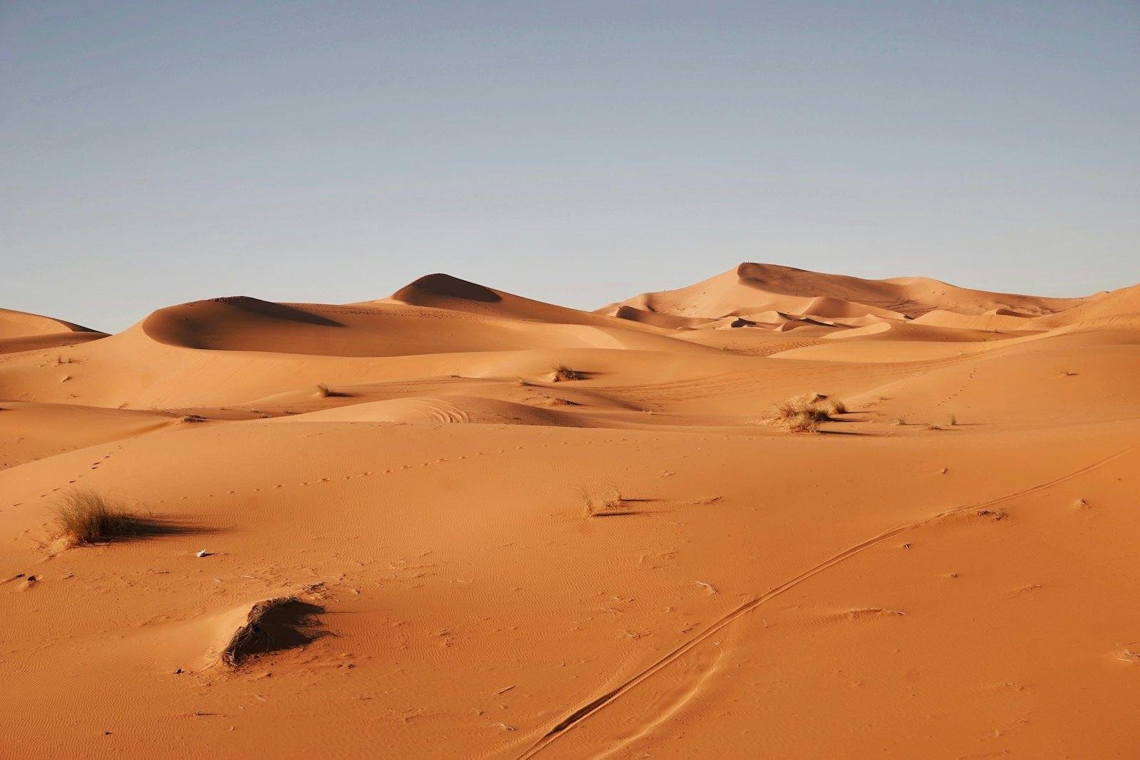 Wind-sculpted desert dunes in warm light