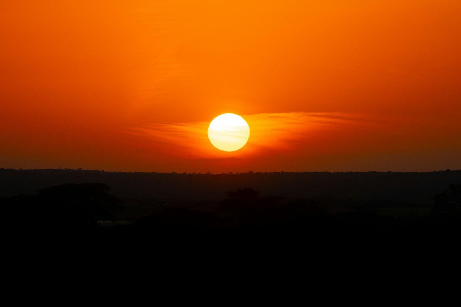 Sunrise over the African savannah